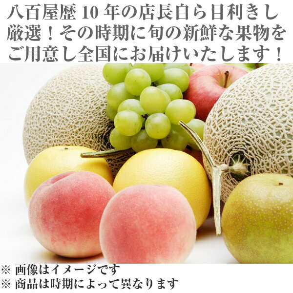 【送料無料】旬の果物詰め合わせセット5品(北海道沖縄別途送料加算) 2