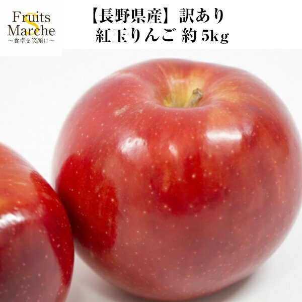 【送料無料】【長野県産】訳あり　紅玉りんご　大きさお任せ　約5kg(北海道沖縄別途送料加算)