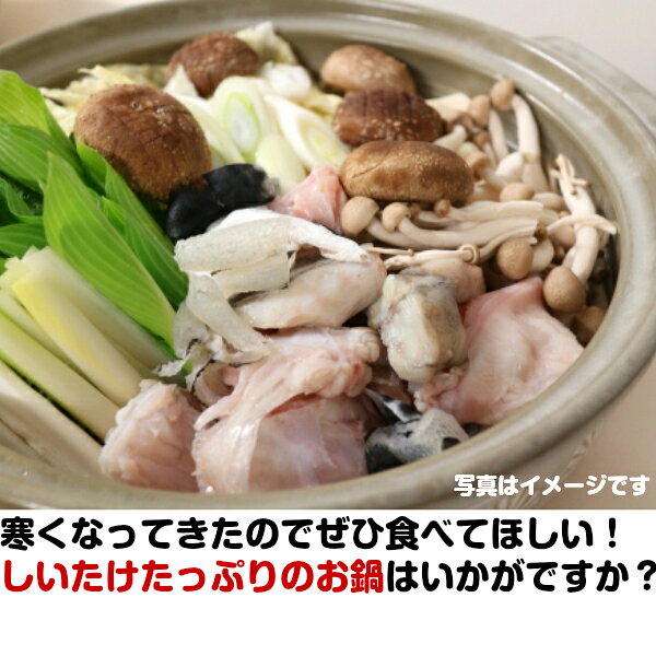 【送料無料】【産地厳選】椎茸三昧セット(北海道沖縄別途送料加算) sizemarusye-10000385 菜S フルーツマルシェ サンプル画像2