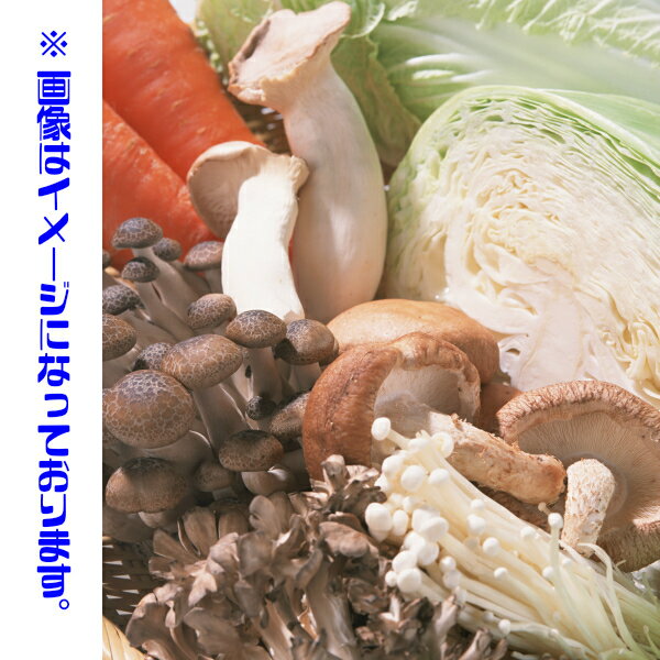 ������̵���ۡڻ��ϸ������������楻�å�(�̳�ƻ�������������û�)