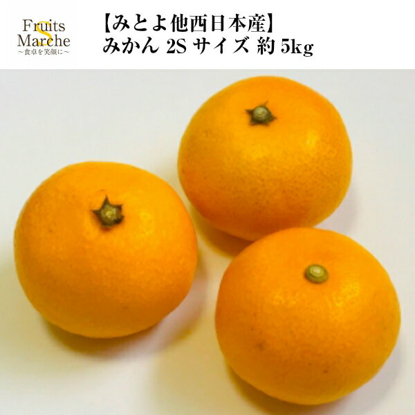 【送料無料】【みとよ他西日本産】訳あり　みかん　2Sサイズ　約5kg(北海道沖縄離島等別途送料加算)のサムネイル