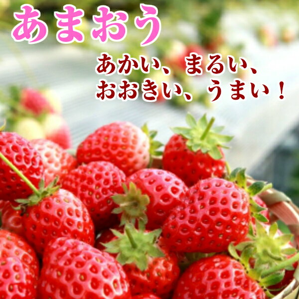 ������̵���ۤ��ޤ��� DX �ʥǥ�å����� ���� ������ ʡ������ 1Ȣ 7��11γ�� ��270g��2�ѥå� ����̵�����̳�ƻ�����츩�����������û���