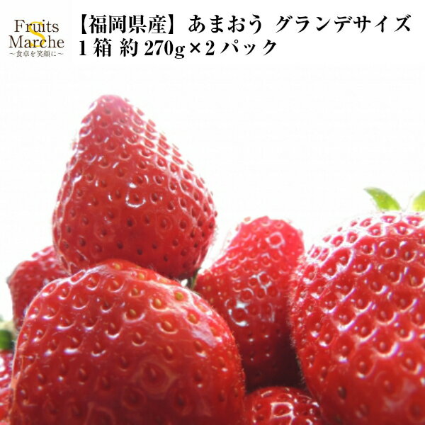 【送料無料！】あまおう いちご 福岡県産 グランデサイズ 1箱 7～11粒入 約270g×2パック 送料無料（北海道・沖縄県は別途送料加算）