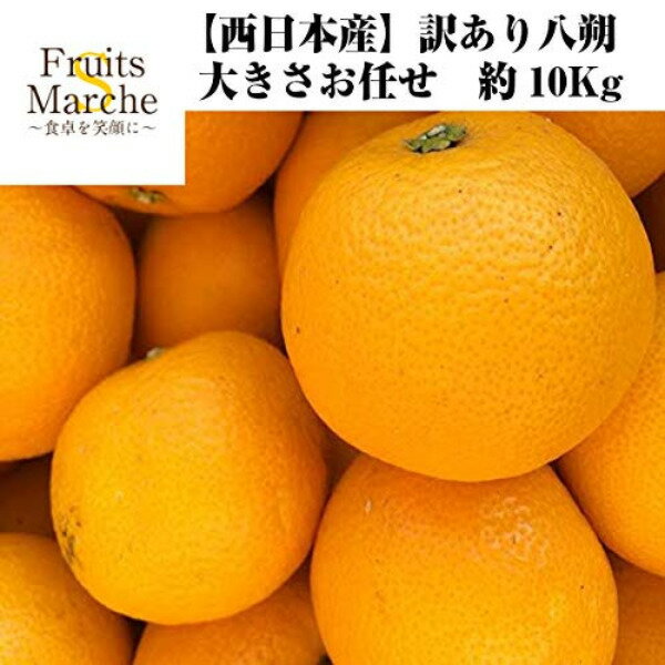 【送料無料】【西日本産】訳あり 八朔 大きさお任せ 約10kg(北海道沖縄別途送料加算)