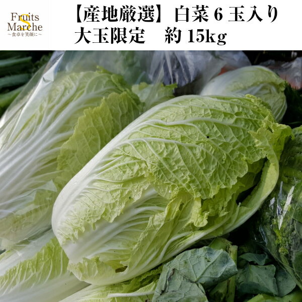 【送料無料】【産地厳選】白菜 6玉入り 大玉 約15kg 北海道沖縄別途送料加算 