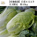 【送料無料】【産地厳選】白菜　6玉入り　大玉　約15kg(北海道沖縄別途送料加算) その1