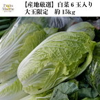 【送料無料】【産地厳選】白菜　6玉入り　大玉　約15kg(北海道沖縄別途送料加算)
