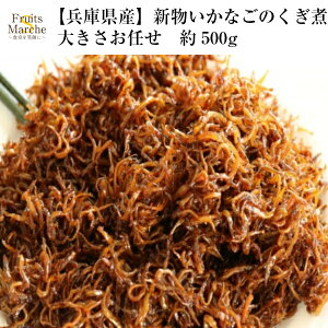 【送料無料】【兵庫県淡路島産】2021年新物 いかなごのくぎ煮 大きさお任せ 約500g【ネコポス】