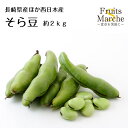 【送料無料】【長崎県産他西日本産】そら豆 大きさおまかせ 約2kg(北海道沖縄別途送料加算)