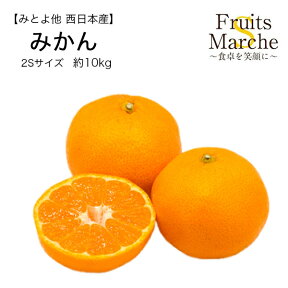 【送料無料】【みとよ他西日本産】訳あり みかん　2Sサイズ　約10kg(北海道沖縄別途送料加算)