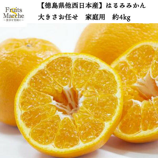 【送料無料】【徳島県他西日本産】はるみみかん　大きさお任せ　家庭用　約4kg(北海道沖縄別途送料加算)