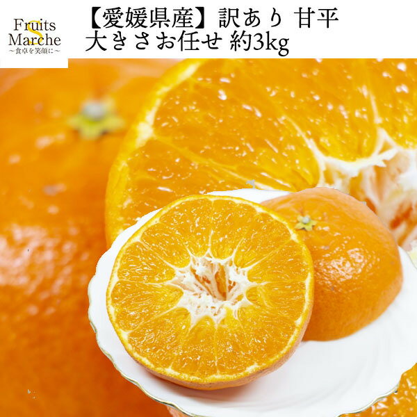 【送料無料！】甘平 かんぺい みかん 3kg 訳あり 大きさお任せ 愛媛県産 送料無料（北海道・沖縄県は別途送料加算）