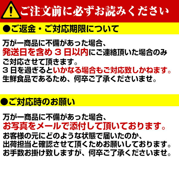 【送料無料】【カリフォルニア産】アメリカンチェリー　不揃い大きさおまかせ 約1k...