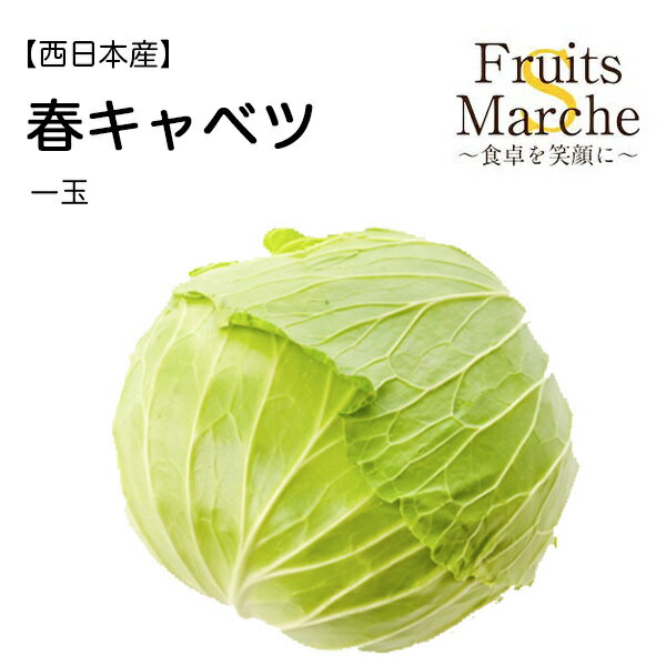 【値段はお客様が決めてください】【西日本産】菜sフルーツマルシェ厳選　春キャベツ　10円から500円【送料別】【野菜詰め合わせセットと同梱で送料無料】野菜宅配/母の日