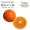 【送料無料】【和歌山他西日本産】訳あり セミノール 大きさおまかせ 約9〜10kg(北海道沖縄別途送料加算)