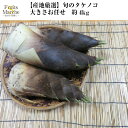 旬のタケノコ　筍　大きさお任せ　約4kg(北海道沖縄別途送料加算)