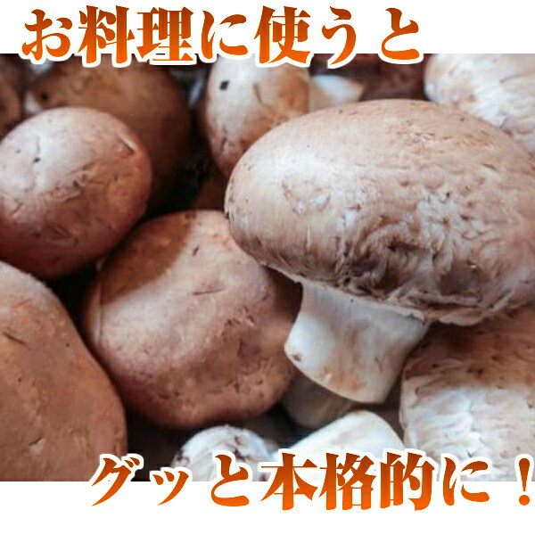 菜S フルーツマルシェの【送料別】【岡山県産】ブラウンマッシュルーム 1パック 【野菜詰め合わせセットと同梱で送料無料】｜アングル2