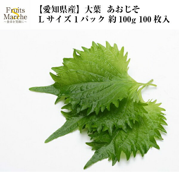 【送料別】【愛知県産】大葉 青しそ あおじそ Lサイズ 1パック 約100g 100枚入 【野菜詰め合わせセットと同梱で送料無料】