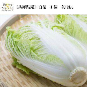 【送料別】【兵庫県産】白菜　1個　約2kg　【野菜詰め合わせセットと同梱で送料無料】