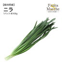 【送料別】【愛知県/岐阜県産】ニラ　1パック 約100g【野菜詰め合わせセットと同梱で送料無料】