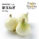 【送料無料】【長崎県産】新玉ねぎ 大玉 約10kg(北海道沖縄別途送料加算)