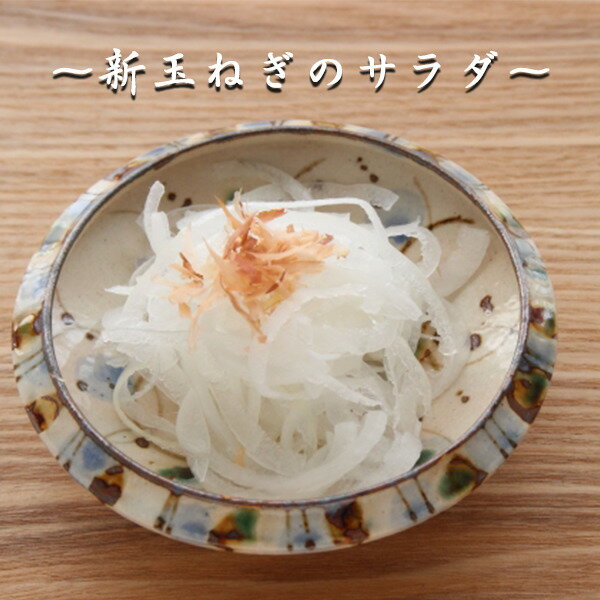 【送料無料】【長崎県産】新玉ねぎ　大玉　約10kg(北海道沖縄別途送料加算)