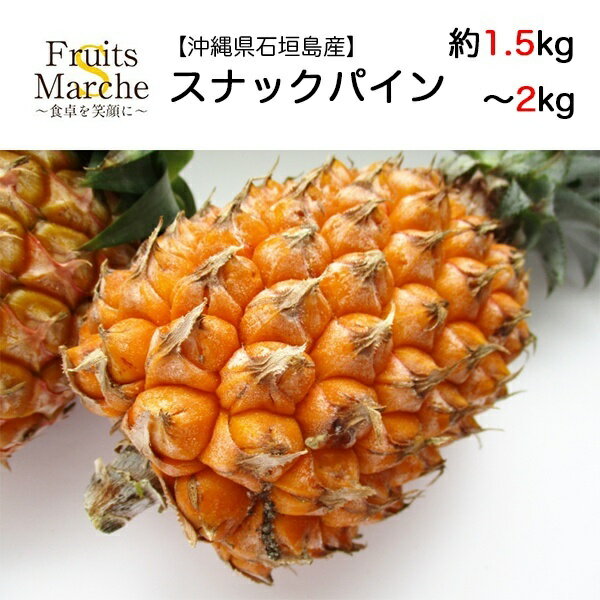 【送料無料】【沖縄県石垣島産】スナックパイン　約1.5kg〜2kg(北海道沖縄別途送料加算)