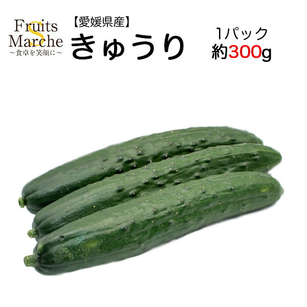 【送料別】【愛媛県産】きゅうり 1パック　約300g 【野菜詰め合わせセットと同梱で送料無料】キュウリ/胡瓜/漬物/キムチ/敬老の日/お歳暮/歳暮/野菜/サラダ/一本漬け野菜宅配/母の日