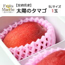 【送料無料】【宮崎県産】太陽のタマゴ 5Lサイズ 専用化粧箱入 1玉(北海道沖縄別途送料加算)