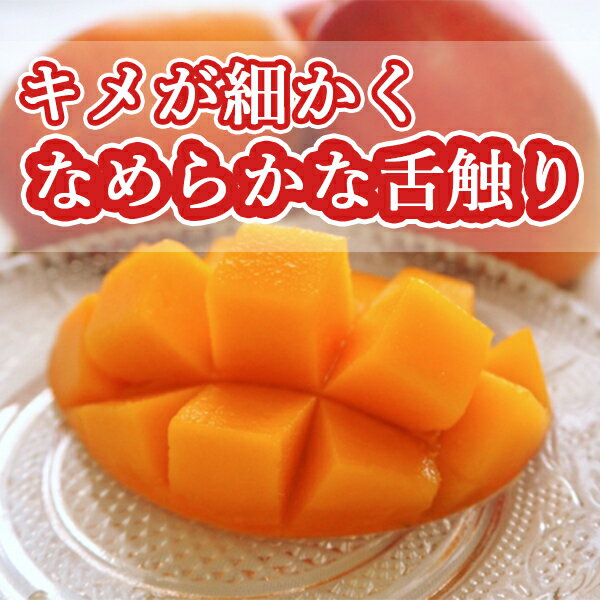 楽天限定【送料無料】【宮崎県産】太陽のタマゴ 化粧箱入 2Lサイズ3玉（350g〜459g...