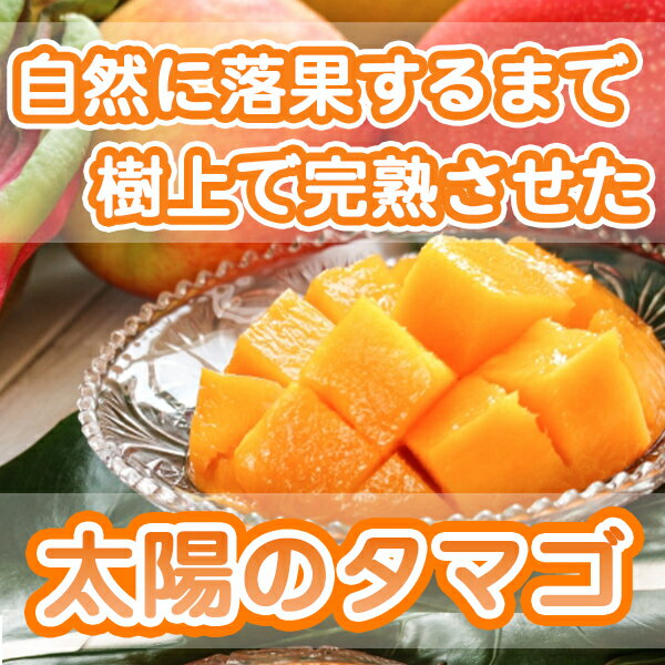 楽天限定【送料無料】【宮崎県産】太陽のタマゴ 化粧箱入 2Lサイズ3玉（350g〜459g...