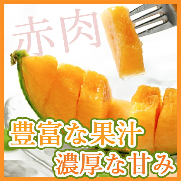 【送料無料】【茨城県産】赤肉メロン　レッドメロン　大きさおまかせ　約4~5kg(北...