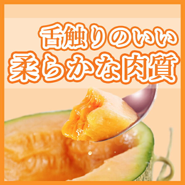 【送料無料】【茨城県産】赤肉メロン　レッドメロン　大きさおまかせ　約4~5kg(北...