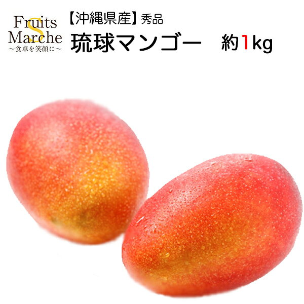 【送料無料】【沖縄県産】秀品　琉球マンゴー　風袋込み　約1kg(北海道沖縄別途送料加算)
