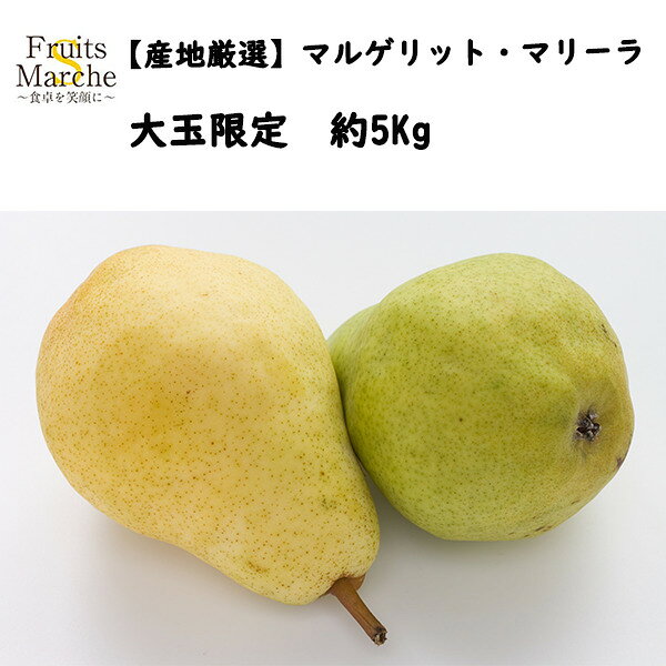 【送料無料】【産地厳選】マルゲリット・マリーラ　大玉限定　約5kg(北海道沖縄別途送料加算)梨/なし/洋梨/和梨/高糖度/高品質/ギフト/暑中見舞い/残暑見舞い/お供え/プレゼント/追熟/スムージー/ジュース/シャーベット/ゼリー/光センサー/訳有/新入荷/高級洋梨