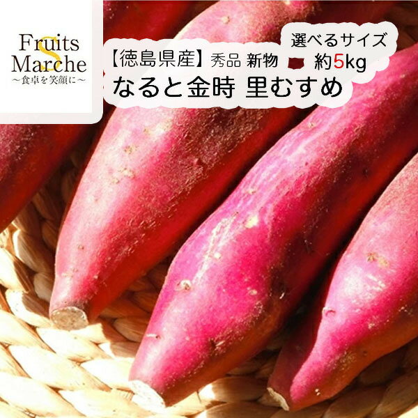 【送料無料】【徳島県産】秀品　新物　なると金時　里むすめ　選べるサイズ　約5kg(北海道沖縄別途送料加算)