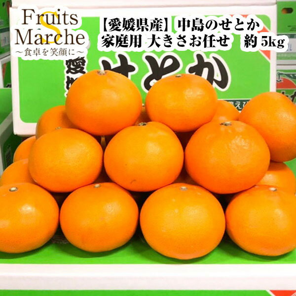 【送料無料】【愛媛県産】訳あり 中島のせとか 家庭用 大きさお任せ 約5kg(北海道沖縄別途送料加算)
