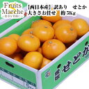 【送料無料！】せとか みかん 5kg 訳あり 大きさお任せ 西日本産 柑橘類 送料無料（北海道 沖縄県は別途送料加算）