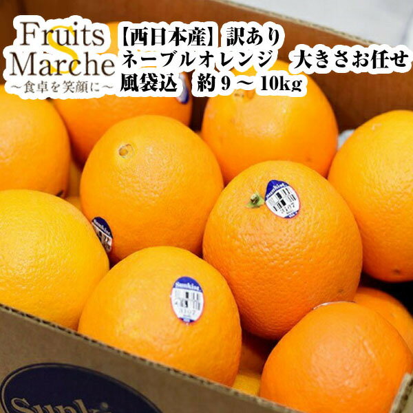 【送料無料】【西日本産】訳あり　ネーブルオレンジ　大きさお任せ　風袋込　約9〜10kg(北海道沖縄別途送料加算)