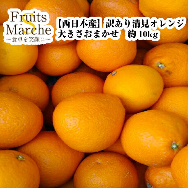 【送料無料】【西日本産】訳あり　清見オレンジ　大きさお任せ　