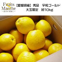 【送料無料】【愛媛県産】秀品 宇和ゴールド 大玉限定 約10kg(北海道沖縄別途送料加算)