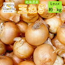 玉ねぎ　Lサイズ　約5kg(北海道沖縄別途送料加算)