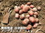 じゃがいも 5kg アンデスレッド 自然栽培 自然農法 無農薬 無肥料 木村秋則式自然栽培 青森県産 生産者 佐々木健康自然農園 佐々木友彦