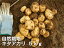 じゃがいも キタアカリ 5kg S〜Lサイズ混合 木村秋則式自然栽培 自然栽培 無農薬 無肥料 自然農法 オーガニック 有機JAS 青森県 生産者 佐々木健康自然農園 佐々木友彦