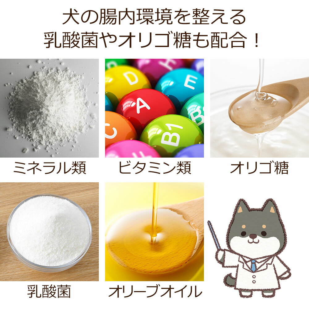 Dr 宿南のキセキのごはん 旧 Dearmate Gf皮膚の健康ケア グレインフリー 1kg 犬用療法食 獣医師開発 国産 カンガルー肉 犬 買い取り