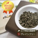 【初回お試しサンプル・送料無料】Dr.宿南のキセキのごはん　GF皮膚の健康ケア（グレインフリー）100g（全犬種用）ディアメイト/国産/ルーミート/犬/獣医師開発 ※1世帯1個限り