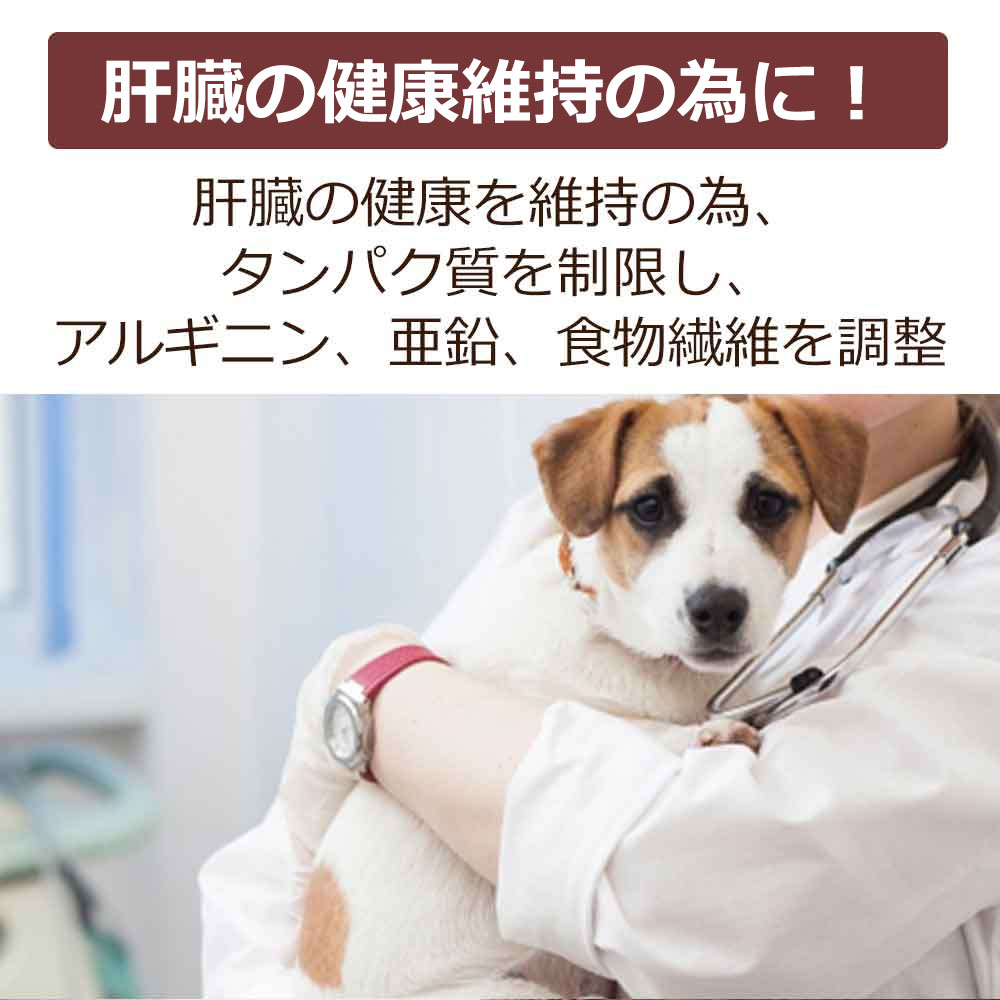 【初回お試しサンプル・送料無料】犬用療法食・肝臓の健康サポート100g入り・Dr.宿南のキセキのごはん（鹿肉ドッグフード/ベニソン/国産/無添加/デイリースタイル/犬/獣医師開発）※1世帯1個限り