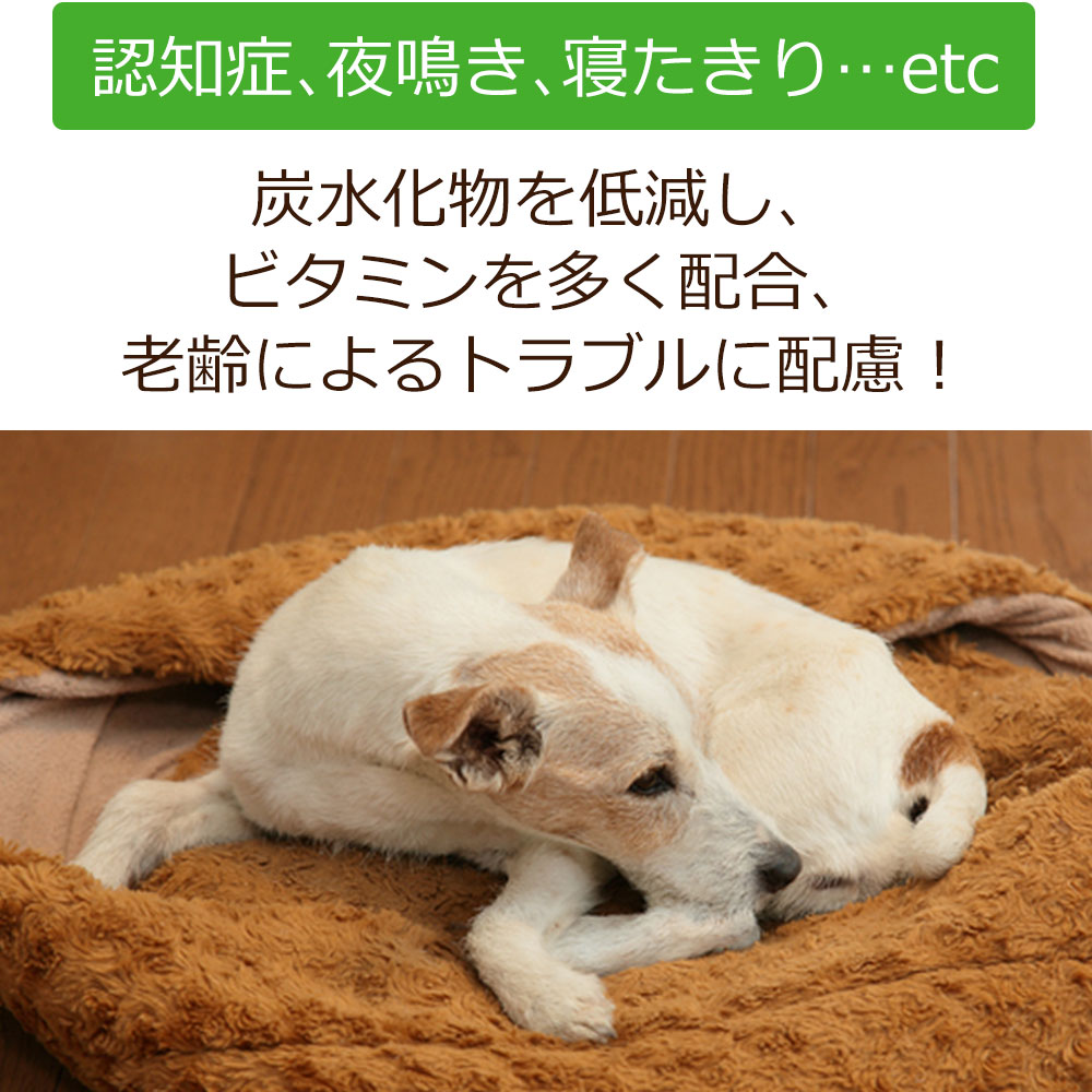 【初回お試しサンプル・送料無料】犬用療法食・介護サポート100g入り・送料無料（鹿肉ドッグフード/ベニソン/国産/無添加/デイリースタイル/犬/獣医師開発）※1世帯1個限り