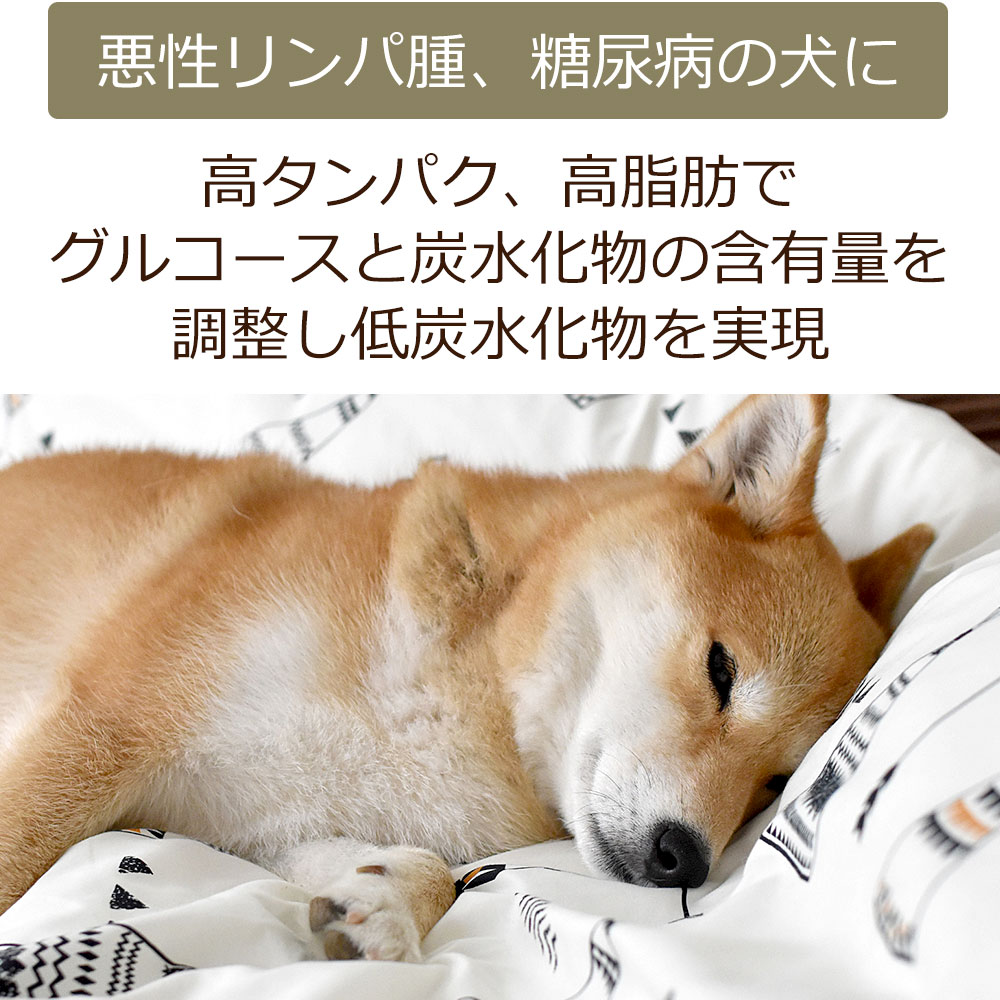 【初回お試しサンプル・送料無料】犬用食事療法食・G.A.N.コントロール100g入り（鹿肉ドッグフード/ベニソン/国産/無添加/デイリースタイル/犬/獣医師開発）※1世帯1個限り