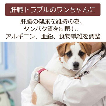 【お試しサンプル】犬用療法食・肝臓（かんぞう）サポート100g入り・送料無料（鹿肉ドッグフード/ベニソン/国産/無添加/デイリースタイル/犬/獣医師開発）※1世帯1個限り